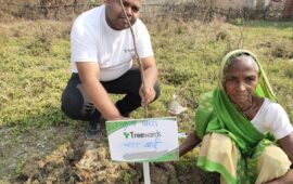 Tree Plantation Drive Story 94 – How Treewards helped Chanda Bai