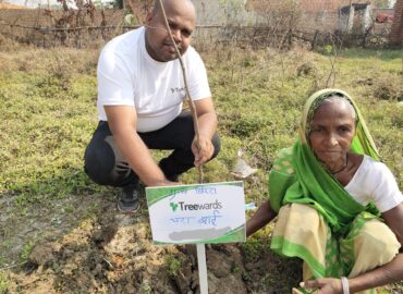 Tree Plantation Drive Story 94 – How Treewards helped Chanda Bai