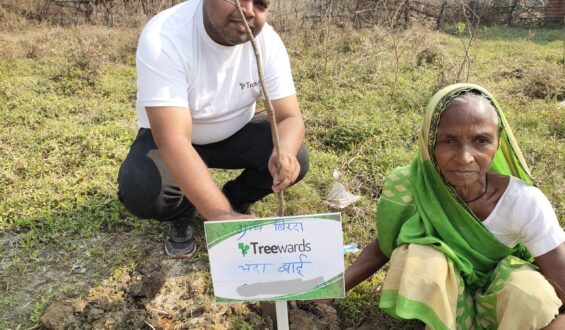 Tree Plantation Drive Story 94 – How Treewards helped Chanda Bai