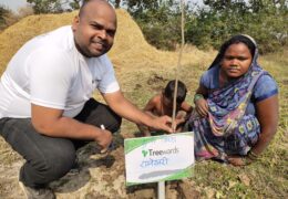 Tree Plantation Drive Story 96 – How Treewards helped Rameshwari