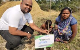 Tree Plantation Drive Story 96 – How Treewards helped Rameshwari