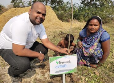 Tree Plantation Drive Story 96 – How Treewards helped Rameshwari