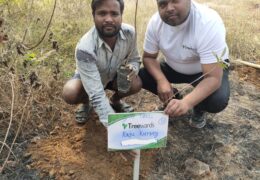 Tree Plantation Drive Story 97 – How Treewards aided Raju Kurrey
