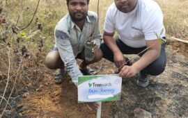 Tree Plantation Drive Story 97 – How Treewards aided Raju Kurrey