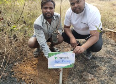 Tree Plantation Drive Story 97 – How Treewards aided Raju Kurrey