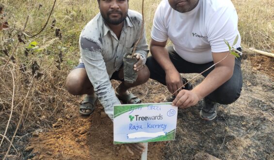 Tree Plantation Drive Story 97 – How Treewards aided Raju Kurrey