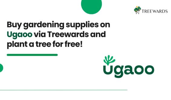 Buy gardening supplies on Ugaoo via Treewards and plant a tree for free!