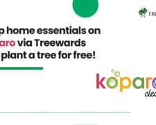 Shop home essentials on Koparo via Treewards and plant a tree for free
