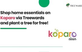 Shop home essentials on Koparo via Treewards and plant a tree for free