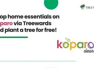 Shop home essentials on Koparo via Treewards and plant a tree for free