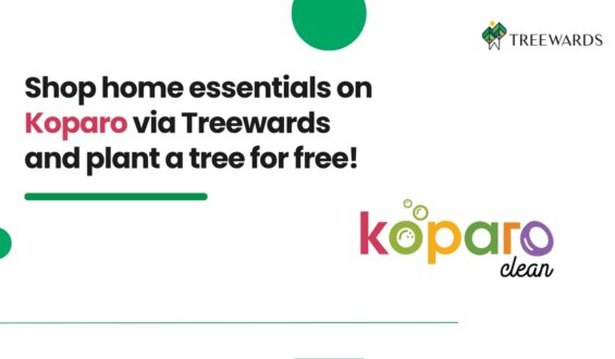 Shop home essentials on Koparo via Treewards and plant a tree for free