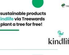Buy Sustainable Products on Kindlife via Treewards and Plant a Tree for Free