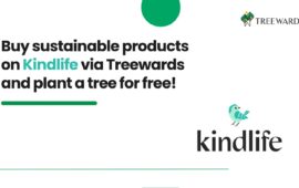 Buy Sustainable Products on Kindlife via Treewards and Plant a Tree for Free
