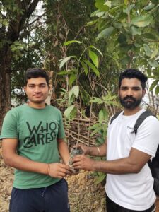 Tree Plantation Drive