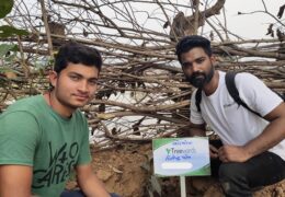 Tree Plantation Drive Story 102 – How Treewards aided Jitendra Patel