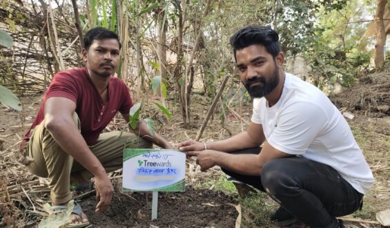 Tree Plantation Drive Story 103 – How Treewards aided Tiroon Lal Kanwar