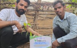 Tree Plantation Drive Story 105 – How Treewards helped Prakash Kanwar