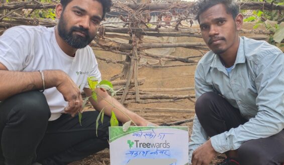 Tree Plantation Drive Story 105 – How Treewards helped Prakash Kanwar