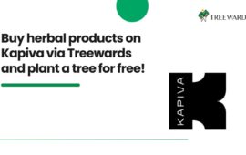 Buy herbal products on Kapiva via Treewards and plant a tree for free