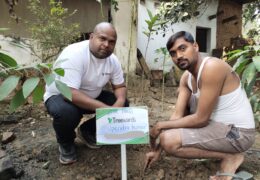 Tree Plantation Drive Story 112 – How Treewards aided Upendra Kumar