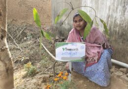Tree Plantation Drive Story 114 – How Treewards aided Sarita Kurre