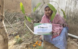 Tree Plantation Drive Story 114 – How Treewards aided Sarita Kurre