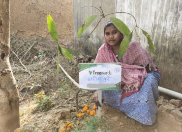 Tree Plantation Drive Story 114 – How Treewards aided Sarita Kurre