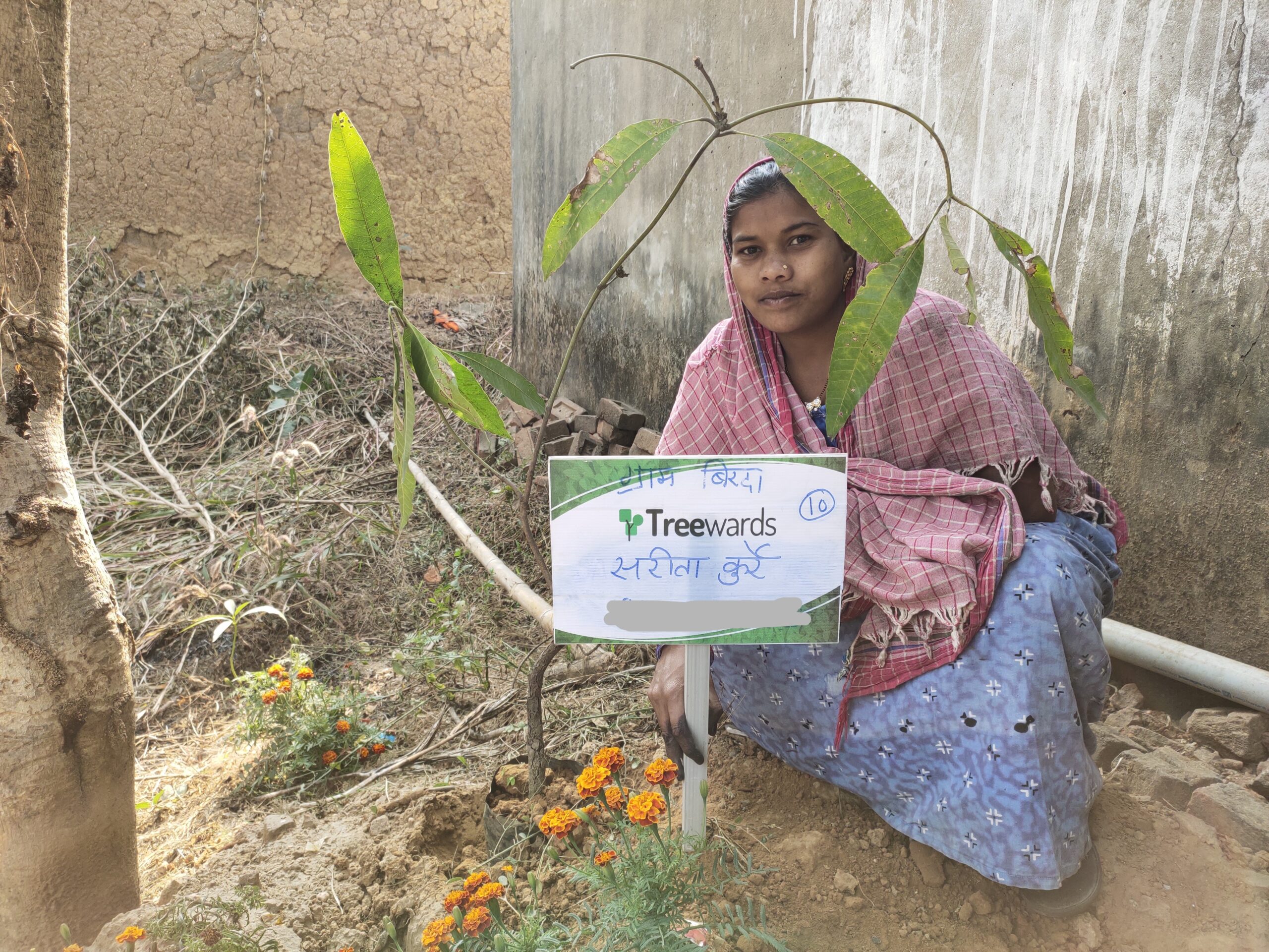 Tree Plantation Drive Story 114 – How Treewards aided Sarita Kurre