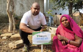 Tree Plantation Drive Story 116 – How Treewards helped Panch Bai Kurre