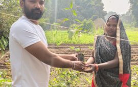 Tree Plantation Drive Story 118 – How Treewards aided Ganga Kumari