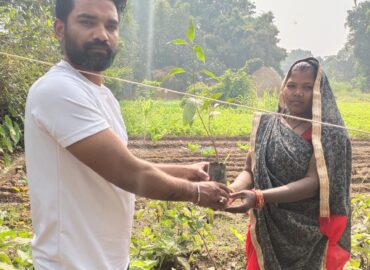 Tree Plantation Drive Story 118 – How Treewards aided Ganga Kumari