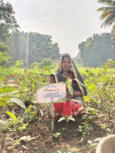 Tree Plantation Drive