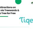 Book Attractions on Tiqets via Treewards & Plant a Tree for Free