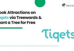 Book Attractions on Tiqets via Treewards & Plant a Tree for Free