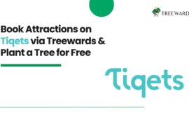 Book Attractions on Tiqets via Treewards & Plant a Tree for Free