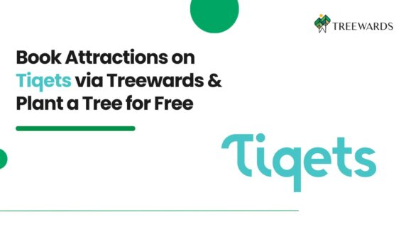 Book Attractions on Tiqets via Treewards & Plant a Tree for Free