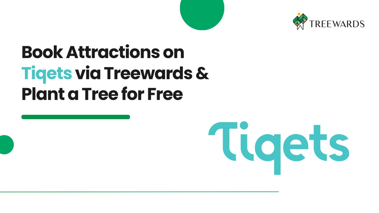 Book Attractions on Tiqets via Treewards & Plant a Tree for Free