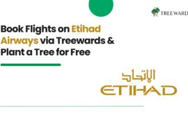 Book Flights on Etihad Airways via Treewards & Plant a Tree for Free