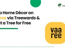 Shop Home Décor on Vaaree via Treewards & Plant a Tree for Free