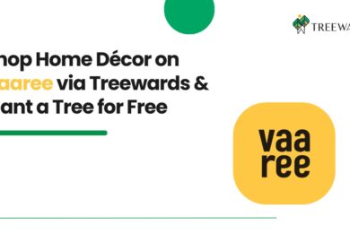Shop Home Décor on Vaaree via Treewards & Plant a Tree for Free