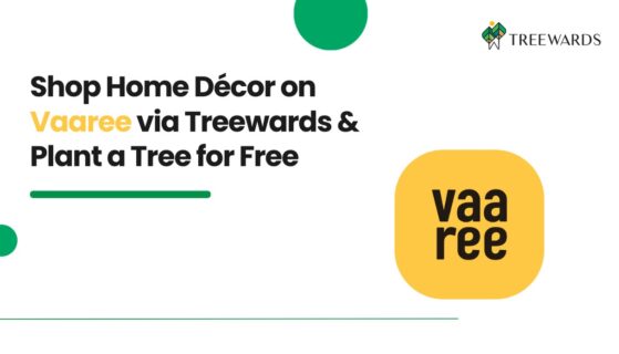 Shop Home Décor on Vaaree via Treewards & Plant a Tree for Free