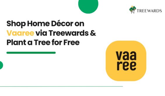 Shop Home Décor on Vaaree via Treewards & Plant a Tree for Free