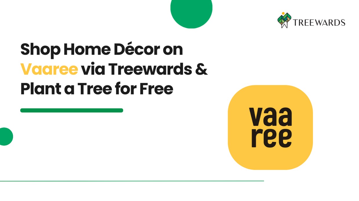 Shop Home Décor on Vaaree via Treewards & Plant a Tree for Free