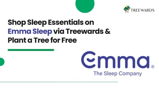 Shop Sleep Essentials on Emma Sleep via Treewards & Plant a Tree for Free