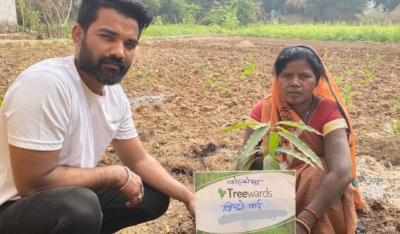 Tree Plantation Drive Story 119 – How Treewards aided Bindro Bai