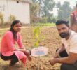 Tree Plantation Drive Story 120 – How Treewards helped Gulshan Rathiya