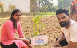 Tree Plantation Drive Story 120 – How Treewards helped Gulshan Rathiya