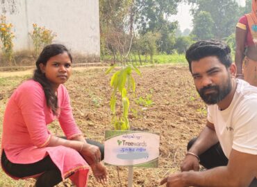 Tree Plantation Drive Story 120 – How Treewards helped Gulshan Rathiya