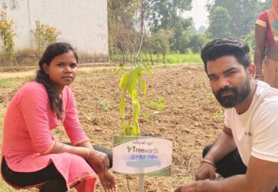 Tree Plantation Drive Story 120 – How Treewards helped Gulshan Rathiya
