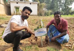 Tree Plantation Drive Story 121 – How Treewards aided Poonam Singh